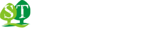 stmark-logo3